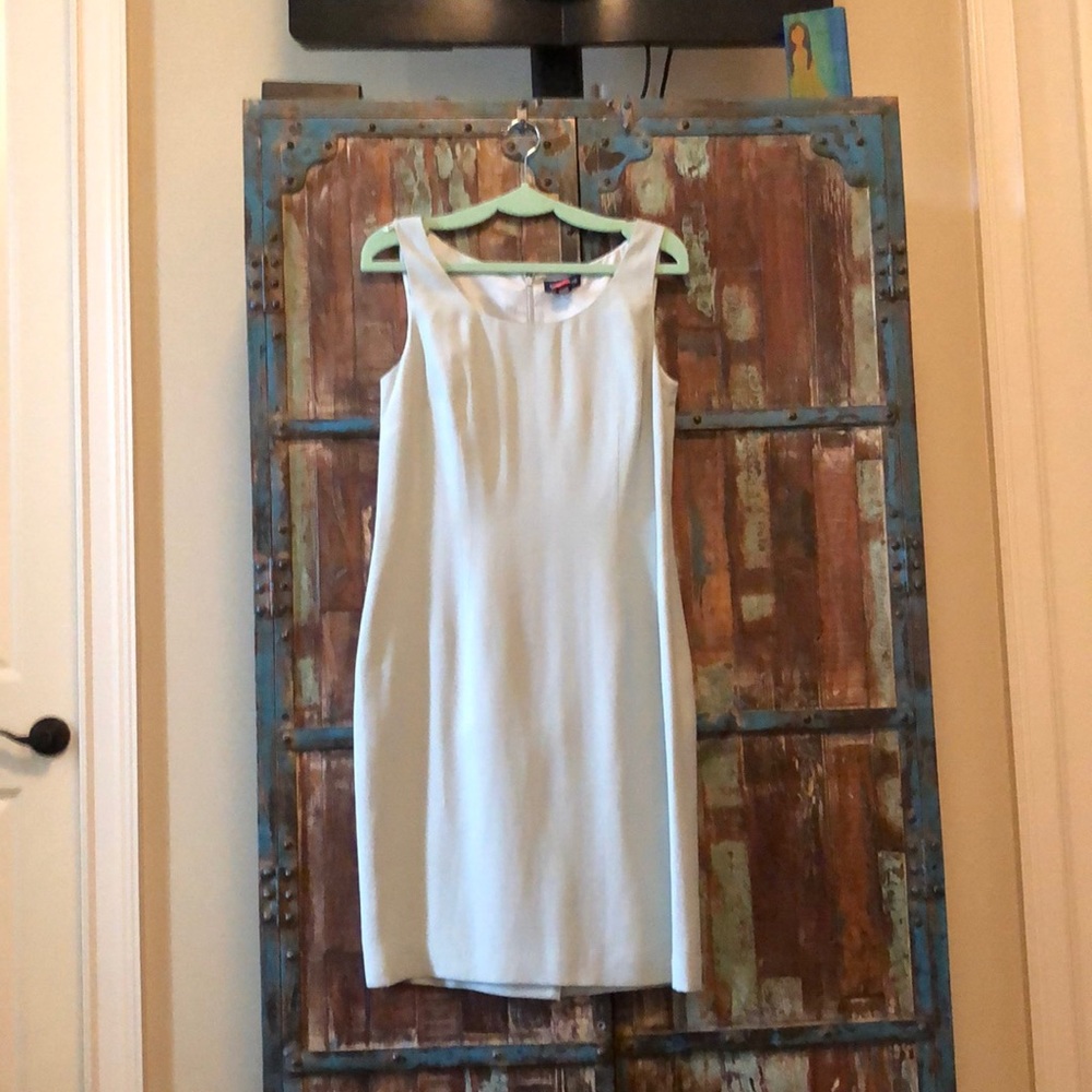 Silk Ann Taylor dress